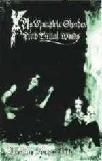 As Vampiric Shades And Belial Winds : Faustian Sons of Hate